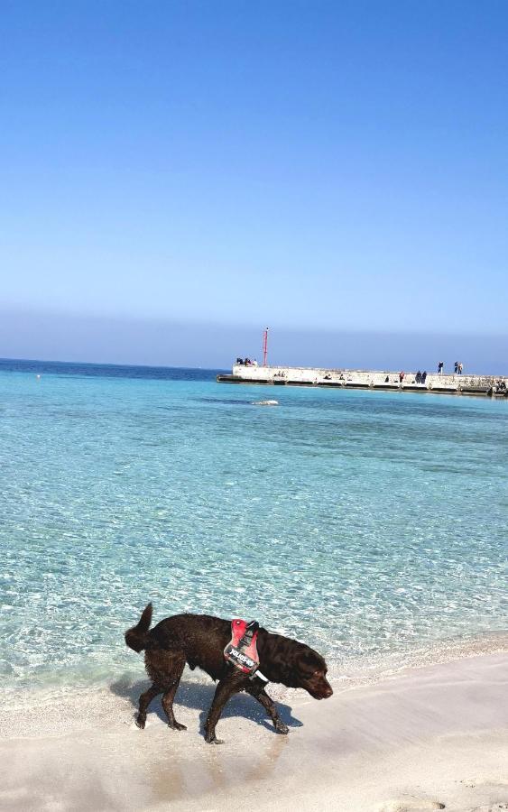 Happy Home - Mondello Palermo Esterno foto